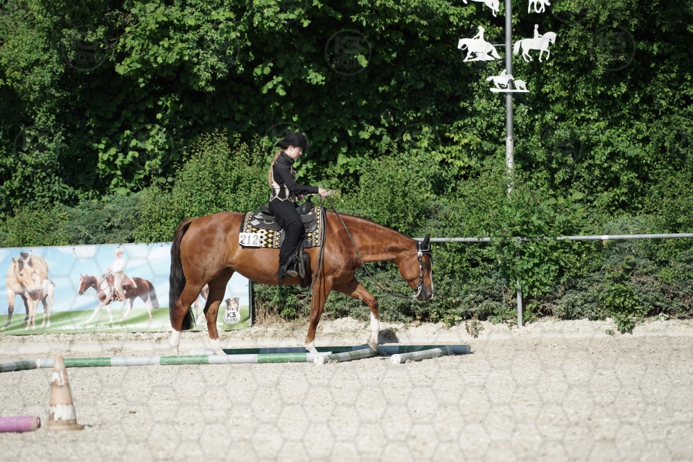 s_APF06751.jpg